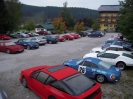 Treffen Österreich Fellinger Ramsau 2011