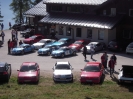 Treffen Österreich Fellinger Ramsau 2011