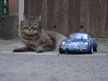 Alpine Renault A110 von Tamiya