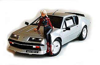 Modelle: Alpine A310 V6 von Fujimi