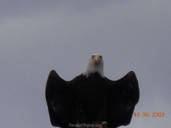 5-Hessisches-Alpinetreffen_34